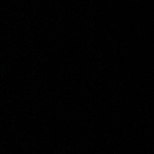 Meet your Posher, Logan